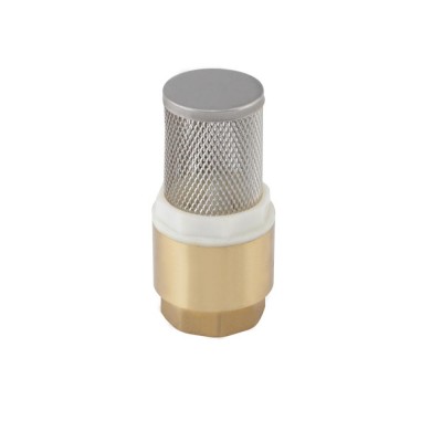 Brass Foot Valve S.S Filter/ Brass Non Return Vertical Spring Valves